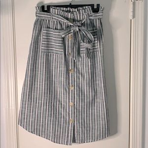 Francesca’s Midi Skirt